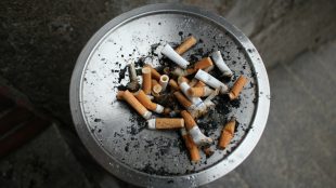 mégots de cigarettes