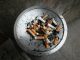 mégots de cigarettes