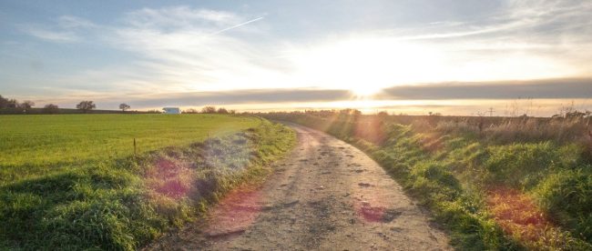 a dirt road with a field in the background