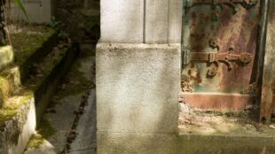Sépulture ancienne gagnée par la mousse au cimetière du Père-Lachaise, à Paris