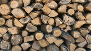 Bûches de bois fendu empilées, vues de face